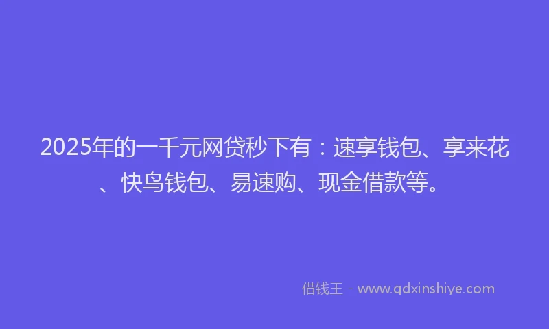2025年的一千元网贷秒下有：速享钱包、享来花、快鸟钱包、易速购、现金借款等。