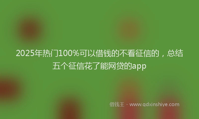 2025年热门100%可以借钱的不看征信的，总结五个征信花了能网贷的app