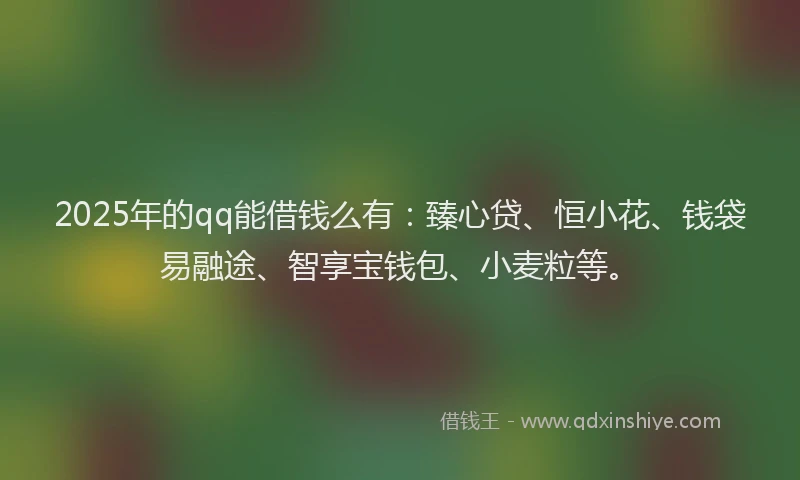 2025年的qq能借钱么有：臻心贷、恒小花、钱袋易融途、智享宝钱包、小麦粒等。