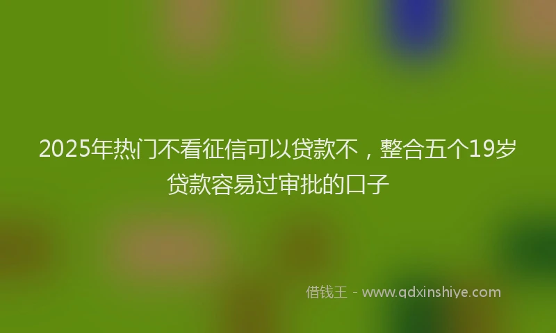 2025年热门不看征信可以贷款不，整合五个19岁贷款容易过审批的口子
