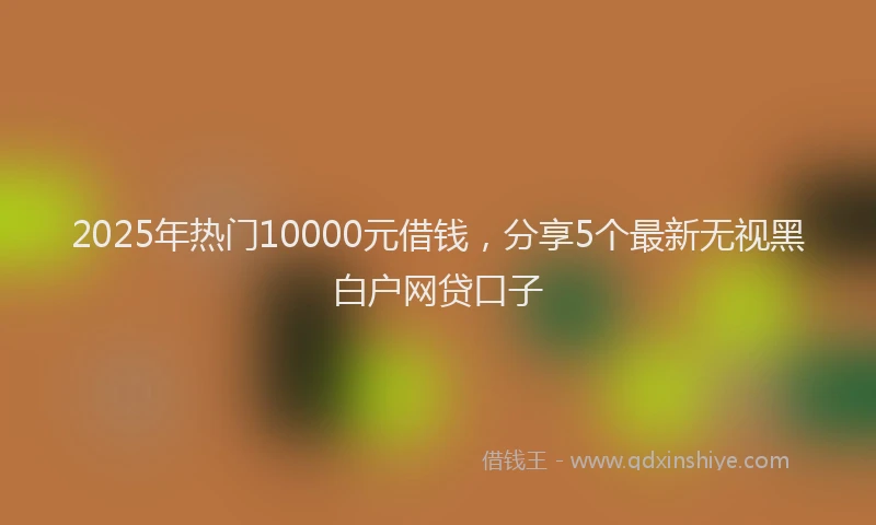 2025年热门10000元借钱，分享5个最新无视黑白户网贷口子