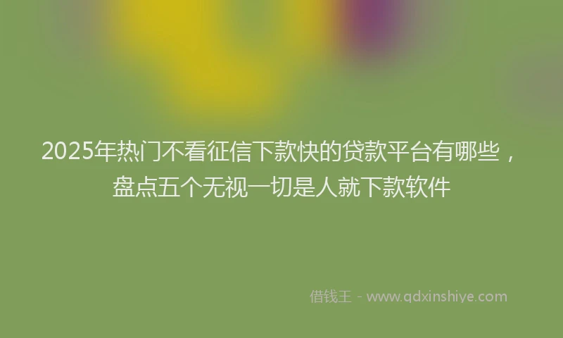 2025年热门不看征信下款快的贷款平台有哪些，盘点五个无视一切是人就下款软件