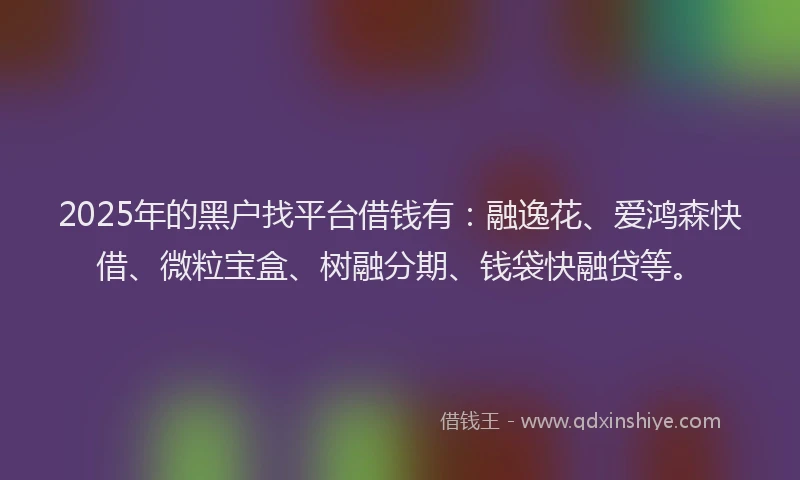 2025年的黑户找平台借钱有：融逸花、爱鸿森快借、微粒宝盒、树融分期、钱袋快融贷等。