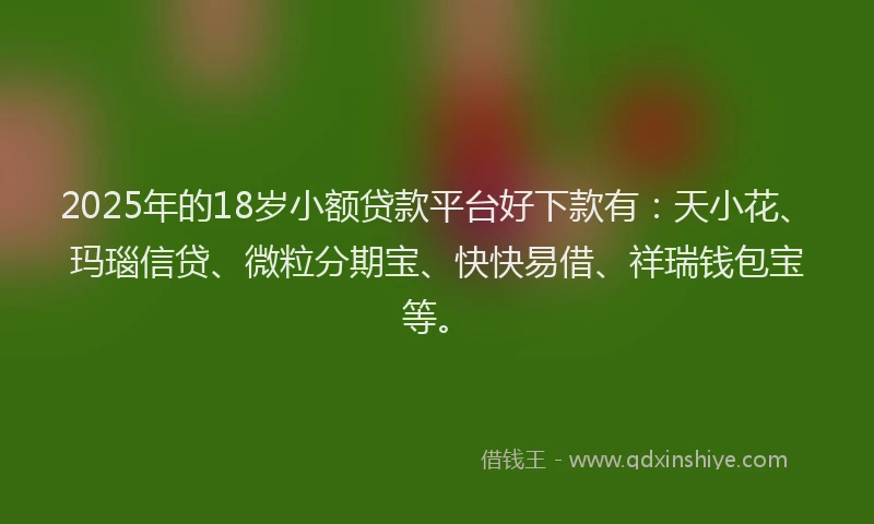 2025年的18岁小额贷款平台好下款有：天小花、玛瑙信贷、微粒分期宝、快快易借、祥瑞钱包宝等。