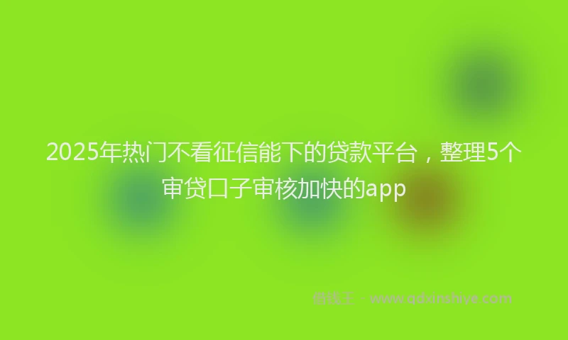 2025年热门不看征信能下的贷款平台，整理5个审贷口子审核加快的app