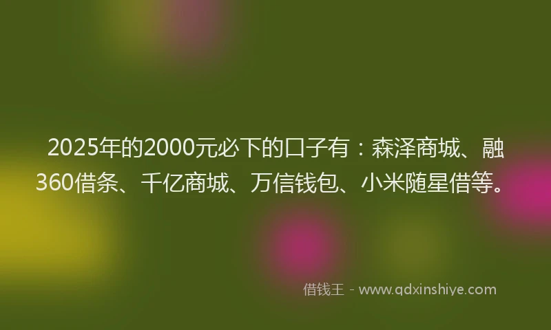 2025年的2000元必下的口子有：森泽商城、融360借条、千亿商城、万信钱包、小米随星借等。