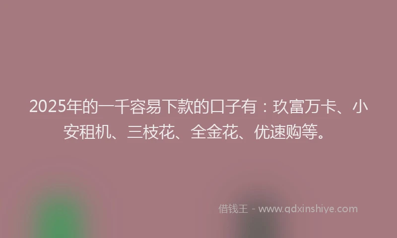 2025年的一千容易下款的口子有：玖富万卡、小安租机、三枝花、全金花、优速购等。