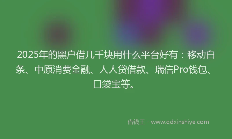 2025年的黑户借几千块用什么平台好有：移动白条、中原消费金融、人人贷借款、瑞信Pro钱包、口袋宝等。