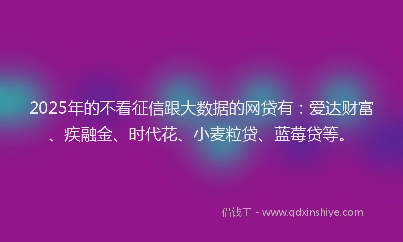 2025年的不看征信跟大数据的网贷有：爱达财富、疾融金、时代花、小麦粒贷、蓝莓贷等。