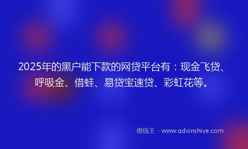 2025年的黑户能下款的网贷平台有：现金飞贷、呼吸金、借蛙、易贷宝速贷、彩虹花等。