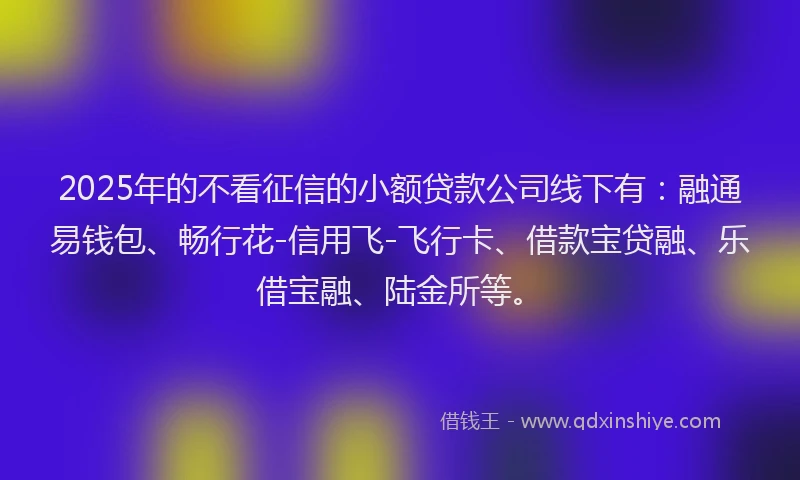 2025年的不看征信的小额贷款公司线下有：融通易钱包、畅行花-信用飞-飞行卡、借款宝贷融、乐借宝融、陆金所等。