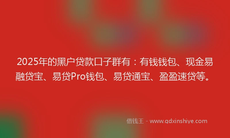 2025年的黑户贷款口子群有：有钱钱包、现金易融贷宝、易贷Pro钱包、易贷通宝、盈盈速贷等。