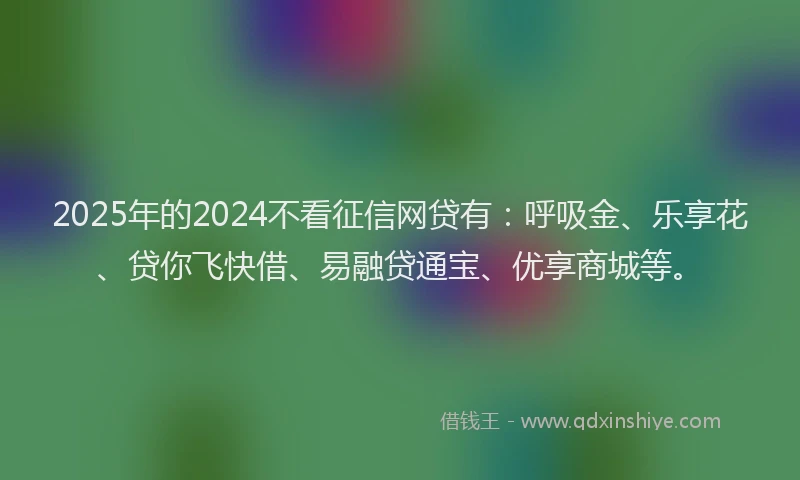 2025年的2024不看征信网贷有：呼吸金、乐享花、贷你飞快借、易融贷通宝、优享商城等。