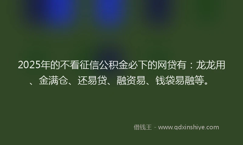 2025年的不看征信公积金必下的网贷有：龙龙用、金满仓、还易贷、融资易、钱袋易融等。