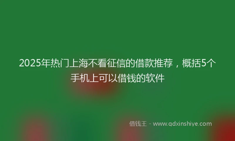 2025年热门上海不看征信的借款推荐，概括5个手机上可以借钱的软件
