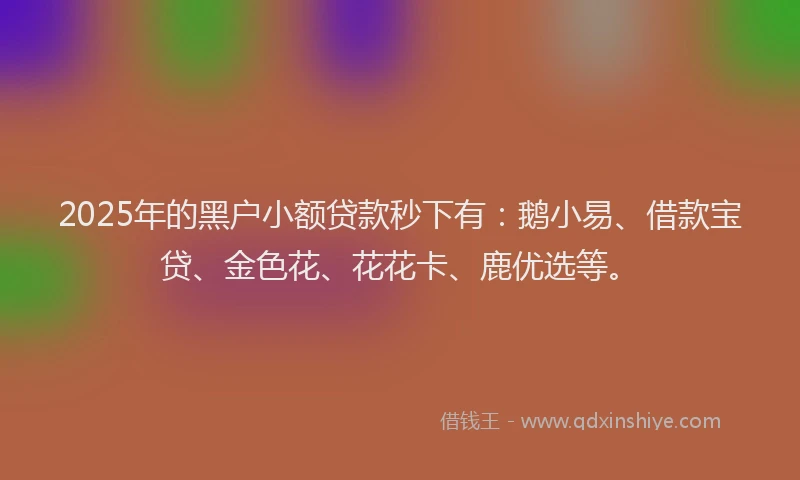 2025年的黑户小额贷款秒下有：鹅小易、借款宝贷、金色花、花花卡、鹿优选等。