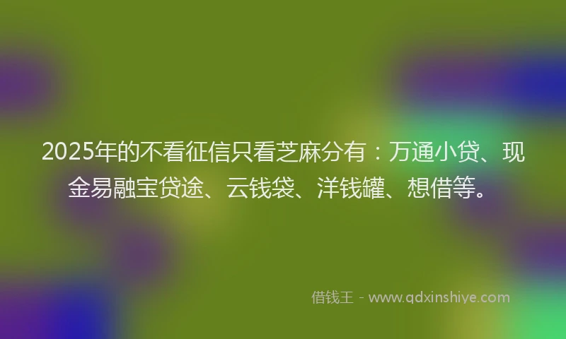 2025年的不看征信只看芝麻分有：万通小贷、现金易融宝贷途、云钱袋、洋钱罐、想借等。