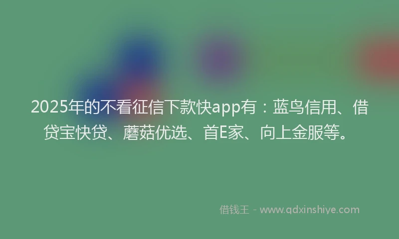 2025年的不看征信下款快app有：蓝鸟信用、借贷宝快贷、蘑菇优选、首E家、向上金服等。