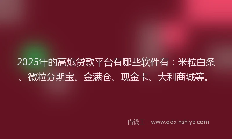 2025年的高炮贷款平台有哪些软件有：米粒白条、微粒分期宝、金满仓、现金卡、大利商城等。