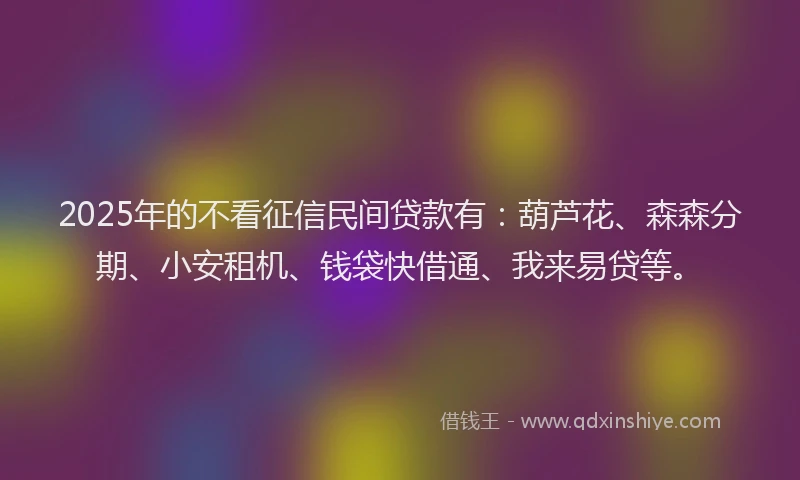 2025年的不看征信民间贷款有：葫芦花、森森分期、小安租机、钱袋快借通、我来易贷等。