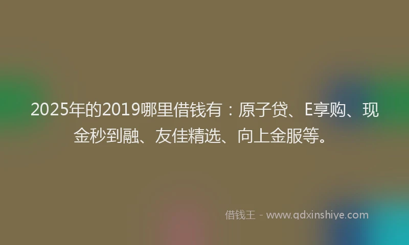 2025年的2019哪里借钱有：原子贷、E享购、现金秒到融、友佳精选、向上金服等。