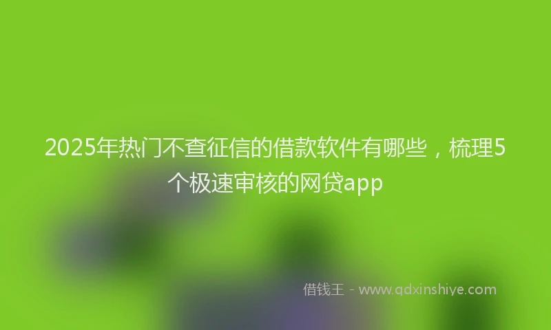 2025年热门不查征信的借款软件有哪些，梳理5个极速审核的网贷app