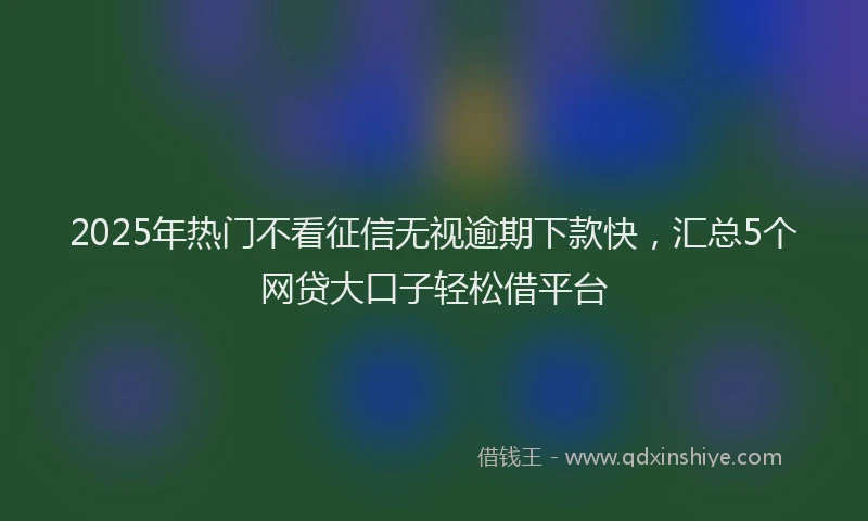 2025年热门不看征信无视逾期下款快，汇总5个网贷大口子轻松借平台