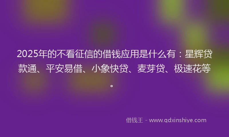 2025年的不看征信的借钱应用是什么有：星辉贷款通、平安易借、小象快贷、麦芽贷、极速花等。