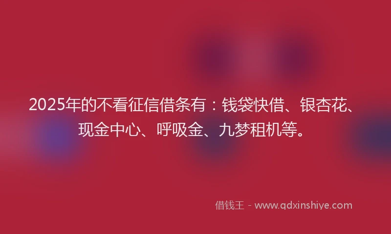 2025年的不看征信借条有：钱袋快借、银杏花、现金中心、呼吸金、九梦租机等。