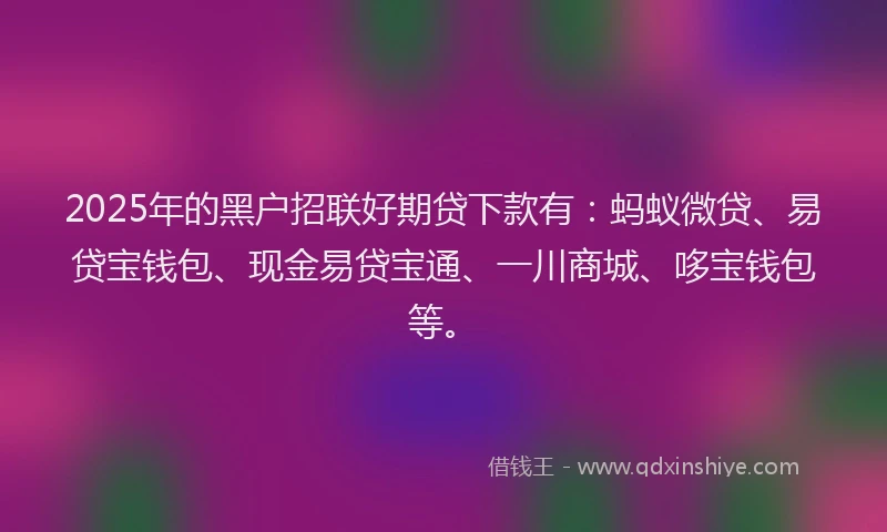 2025年的黑户招联好期贷下款有：蚂蚁微贷、易贷宝钱包、现金易贷宝通、一川商城、哆宝钱包等。