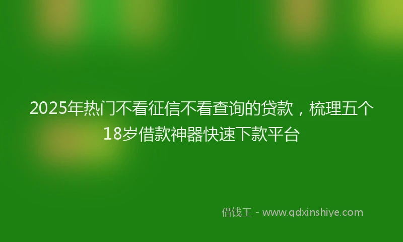 2025年热门不看征信不看查询的贷款，梳理五个18岁借款神器快速下款平台