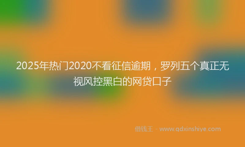 2025年热门2020不看征信逾期，罗列五个真正无视风控黑白的网贷口子