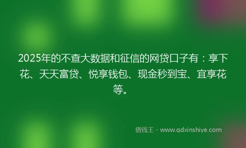 2025年的不查大数据和征信的网贷口子有：享下花、天天富贷、悦享钱包、现金秒到宝、宜享花等。