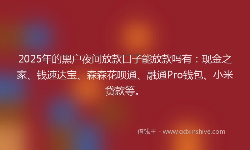 2025年的黑户夜间放款口子能放款吗有：现金之家、钱速达宝、森森花呗通、融通Pro钱包、小米贷款等。