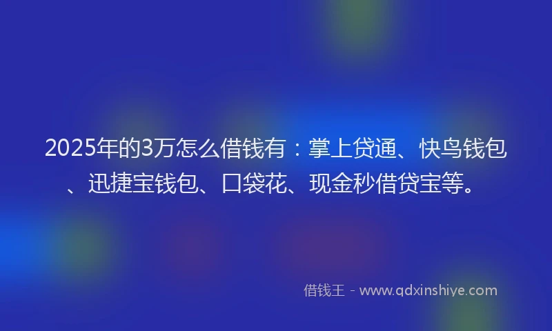 2025年的3万怎么借钱有：掌上贷通、快鸟钱包、迅捷宝钱包、口袋花、现金秒借贷宝等。