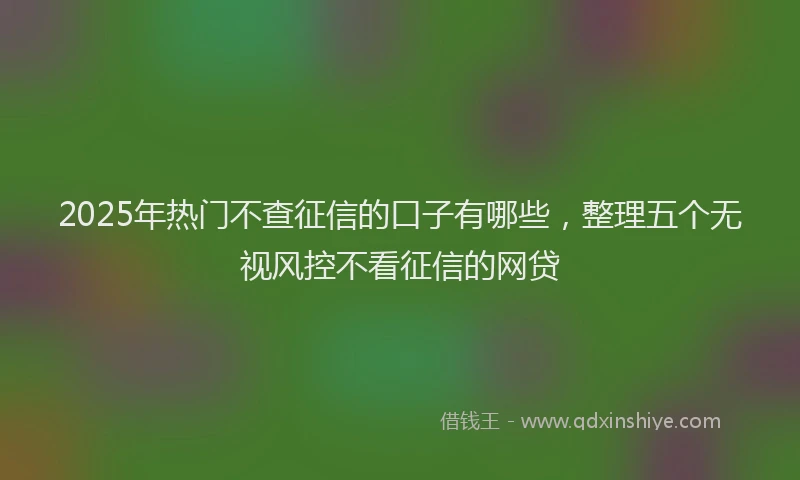 2025年热门不查征信的口子有哪些，整理五个无视风控不看征信的网贷