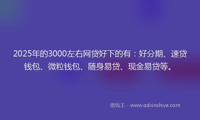 2025年的3000左右网贷好下的有：好分期、速贷钱包、微粒钱包、随身易贷、现金易贷等。