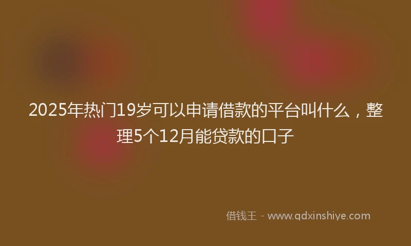 2025年热门19岁可以申请借款的平台叫什么，整理5个12月能贷款的口子