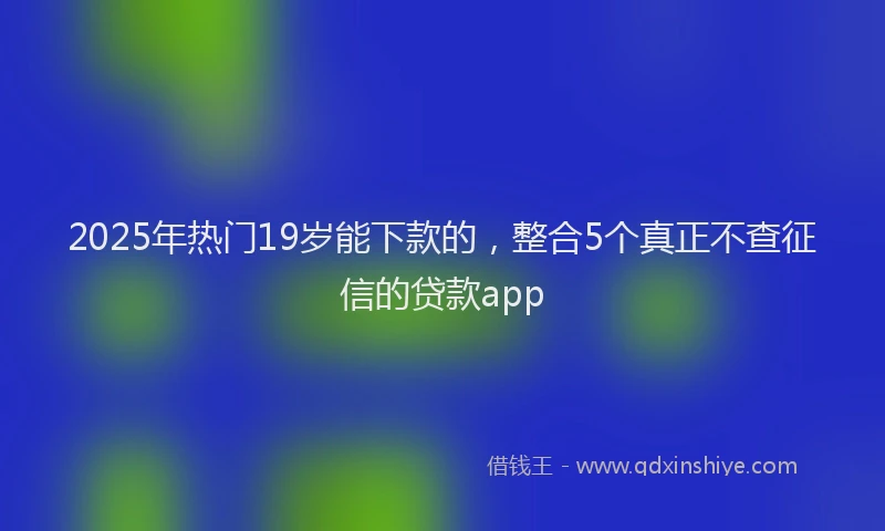 2025年热门19岁能下款的，整合5个真正不查征信的贷款app