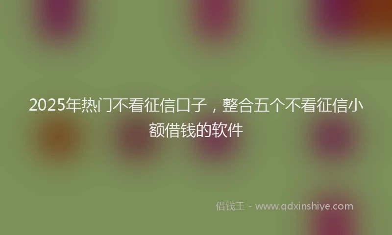 2025年热门不看征信口子，整合五个不看征信小额借钱的软件