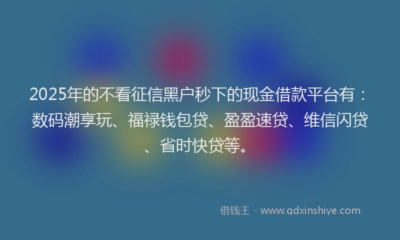 2025年的不看征信黑户秒下的现金借款平台有：数码潮享玩、福禄钱包贷、盈盈速贷、维信闪贷、省时快贷等。