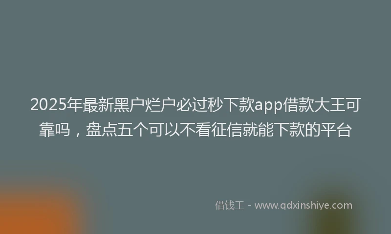 2025年最新黑户烂户必过秒下款app借款大王可靠吗，盘点五个可以不看征信就能下款的平台