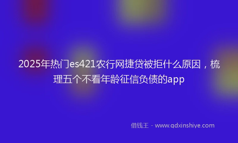 2025年热门es421农行网捷贷被拒什么原因，梳理五个不看年龄征信负债的app