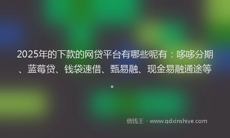 2025年的下款的网贷平台有哪些呢有：哆哆分期、蓝莓贷、钱袋速借、甄易融、现金易融通途等。