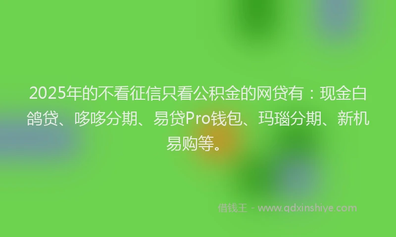 2025年的不看征信只看公积金的网贷有：现金白鸽贷、哆哆分期、易贷Pro钱包、玛瑙分期、新机易购等。