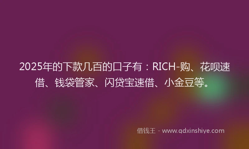 2025年的下款几百的口子有:RICH-购、花呗速借、钱袋管家、闪贷宝速借、小金豆等。