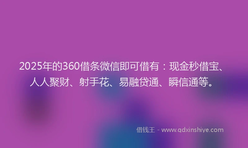 2025年的360借条微信即可借有：现金秒借宝、人人聚财、射手花、易融贷通、瞬信通等。