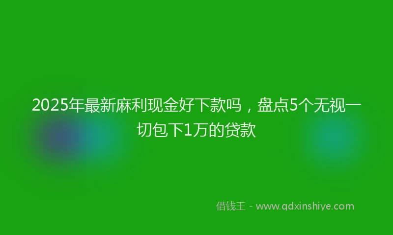 2025年最新麻利现金好下款吗，盘点5个无视一切包下1万的贷款