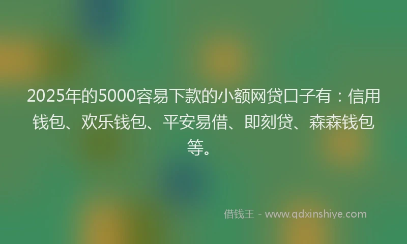 2025年的5000容易下款的小额网贷口子有：信用钱包、欢乐钱包、平安易借、即刻贷、森森钱包等。