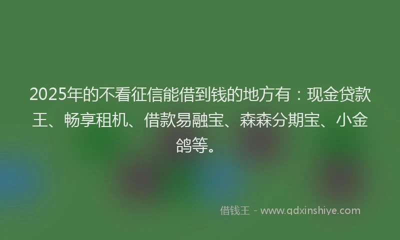 2025年的不看征信能借到钱的地方有：现金贷款王、畅享租机、借款易融宝、森森分期宝、小金鸽等。